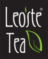 logo leoste